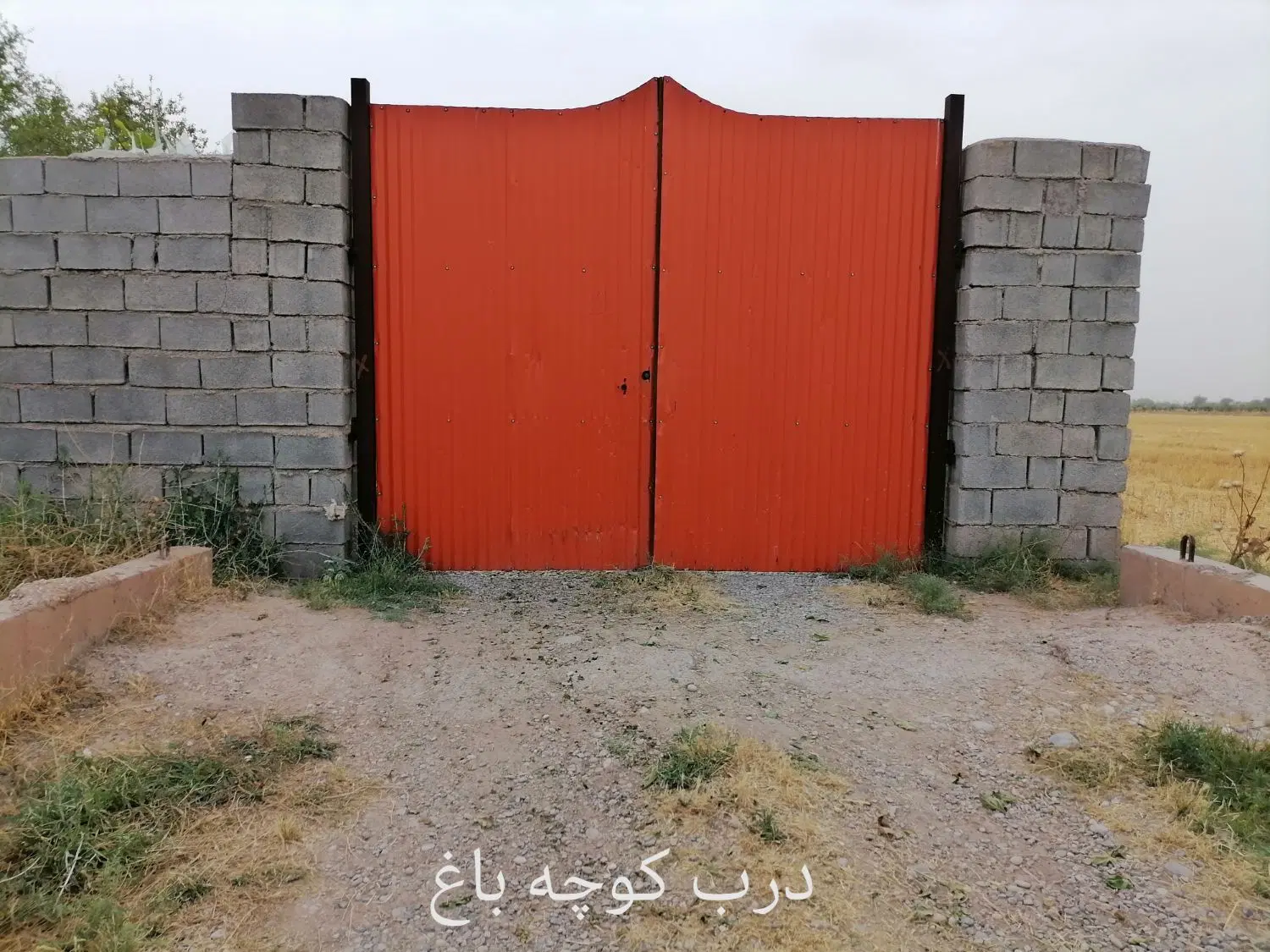 باغ باصفا