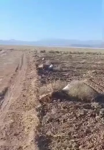 فروش ۷ هکتار پسته با ۳ دانگ تلمبه ۴ اینج آب نی ریز