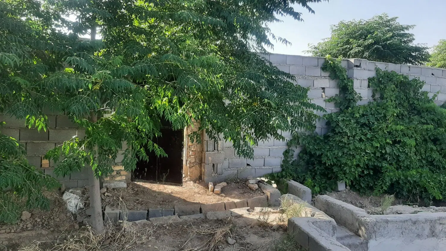 باغ باسهمیه آب کشاورزی دیوار ۱۰ساله انواع درخت