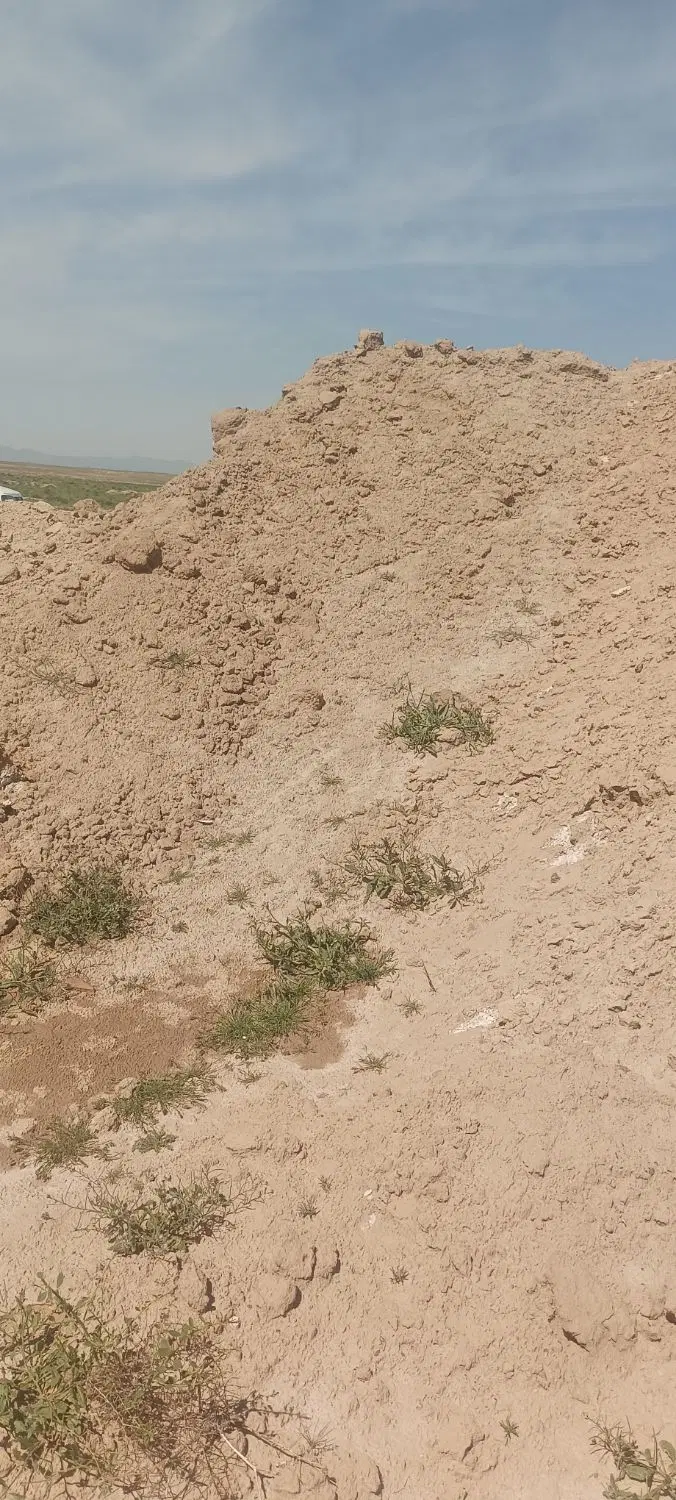 مسکن ملی