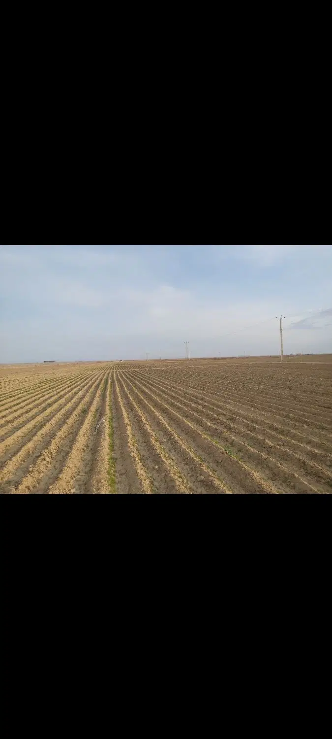 زمین مسکونی شهرک بوستان