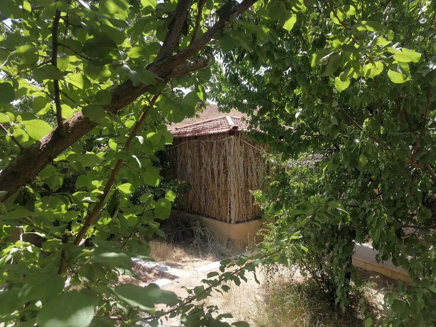 فروش خانه ویلایی روستای سرسبز جرجافک شهرستان زرند.