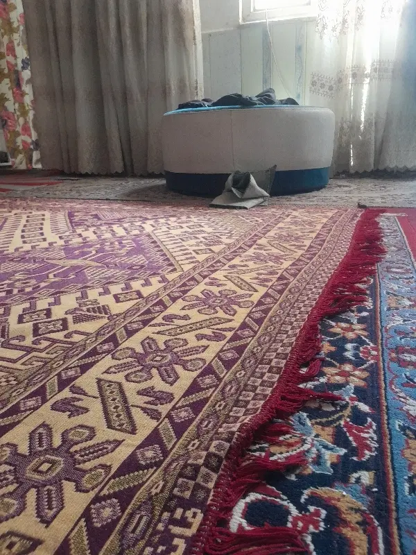 همخونه خانم