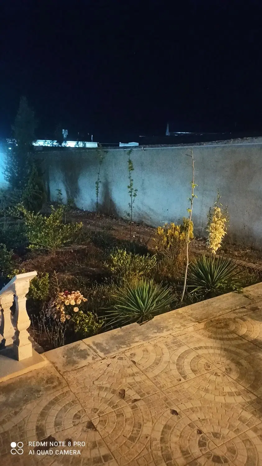 مغازه ـ تجاری