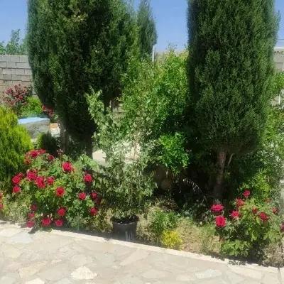 باغ