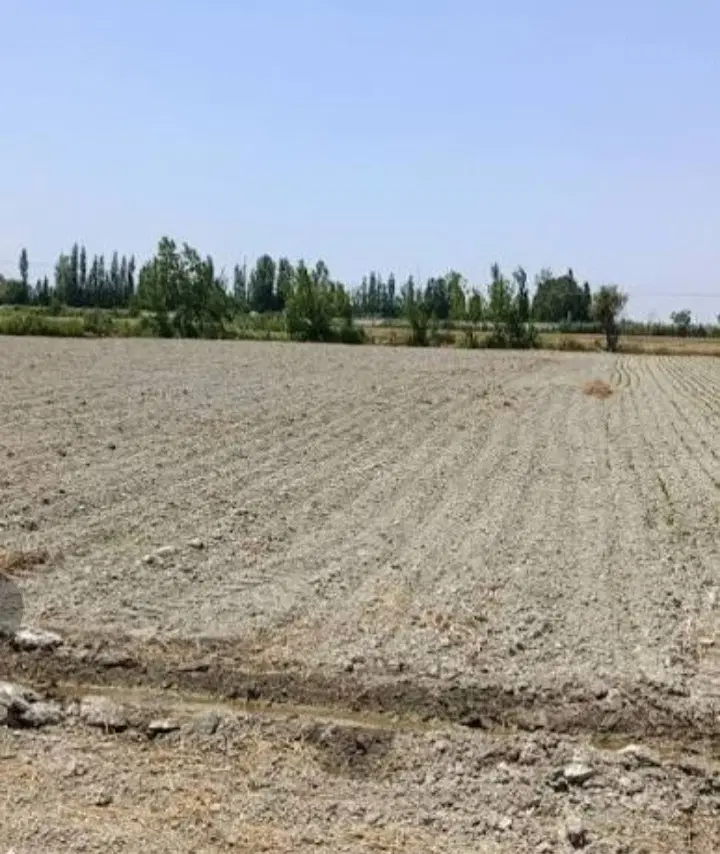 زمین کشاورزی واقع شده در روستای سرآور .