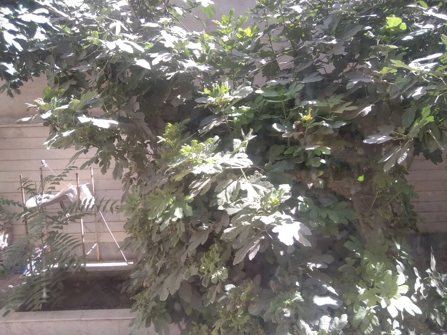 خانه دو طبقه حیاط دار