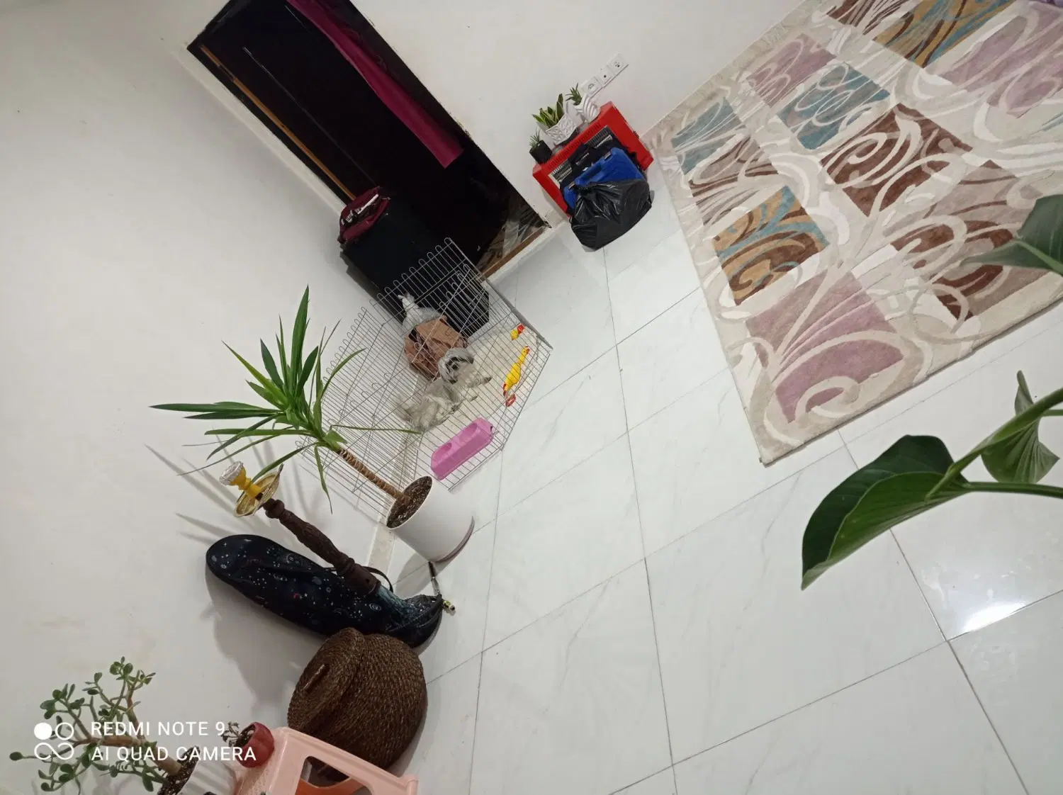 واحد همکف۵۰متر سرویس جدا ساخت۴۰۱ حمیدیان وارش۴