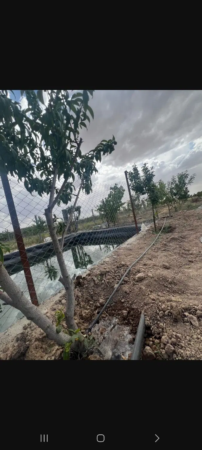 ۷۰۰ متر باغچه با درختان مثمر