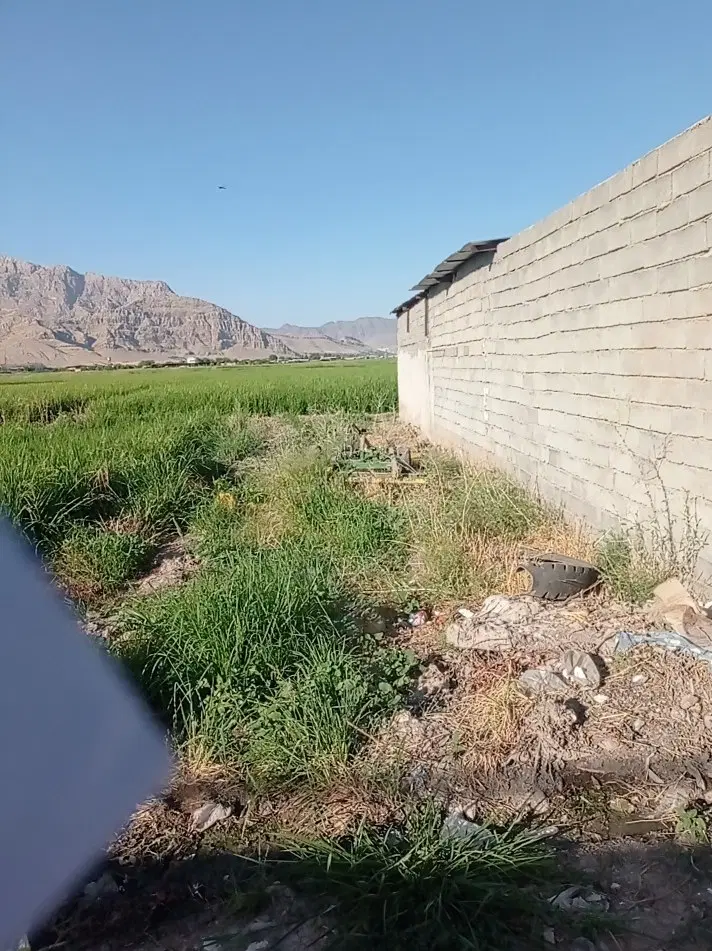 زمین 120 متری در روستای دست به زانو