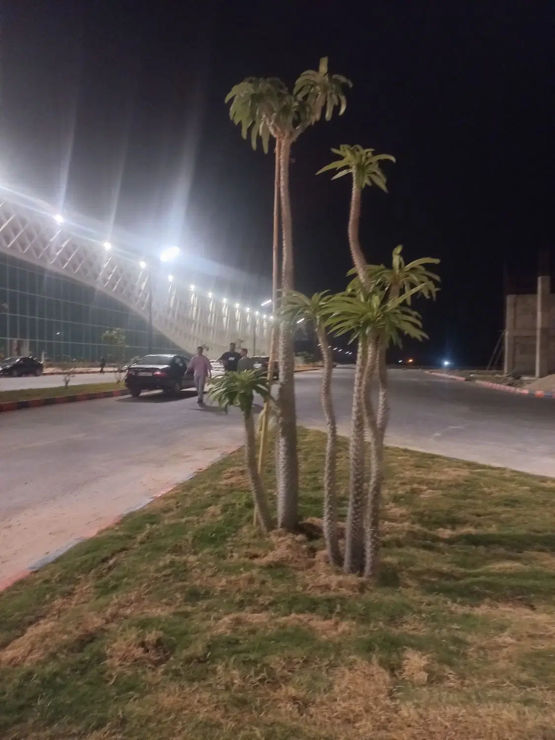 فروش زمین گورک