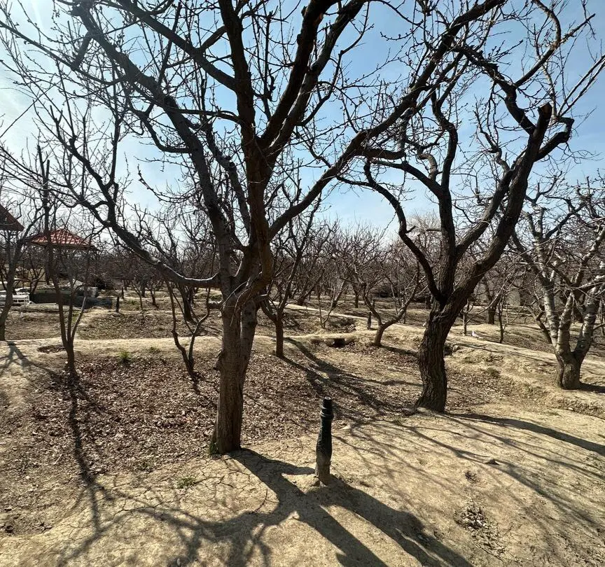 زمین باغی موقعیت مناسب سرمایه گذاری
