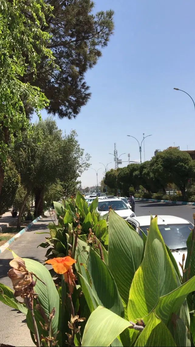 زمین بلوار جمهوری
