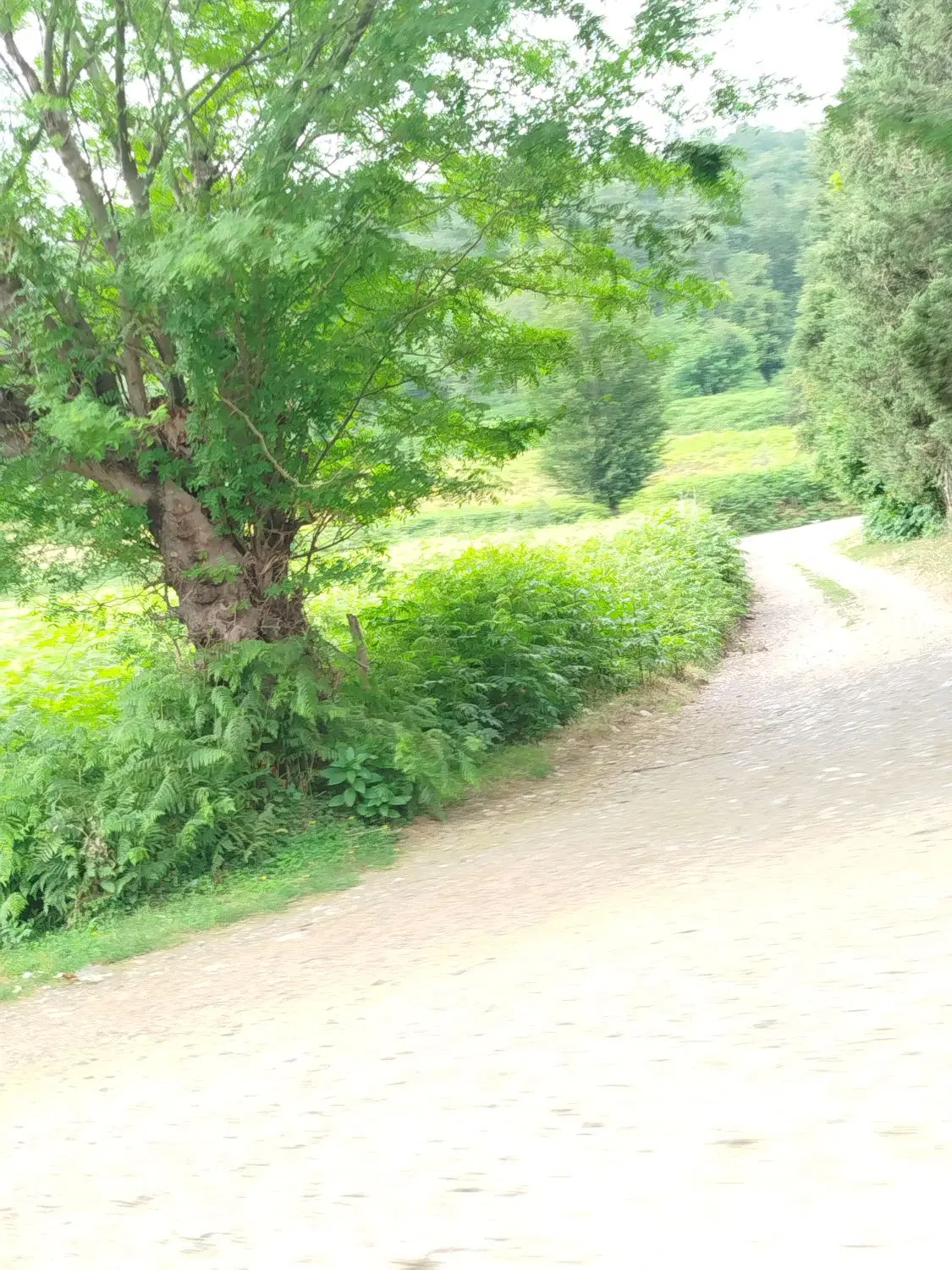 فروش زمین