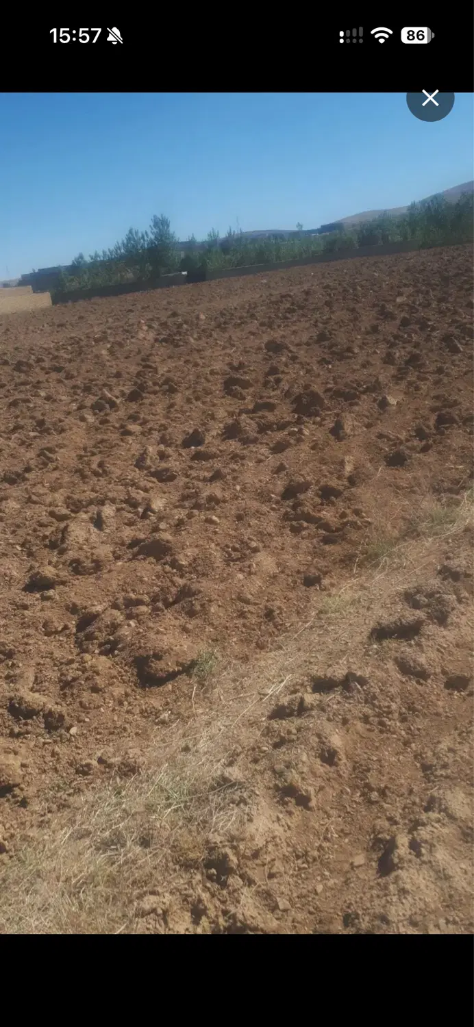زمین بهر روستای حاجی اباد