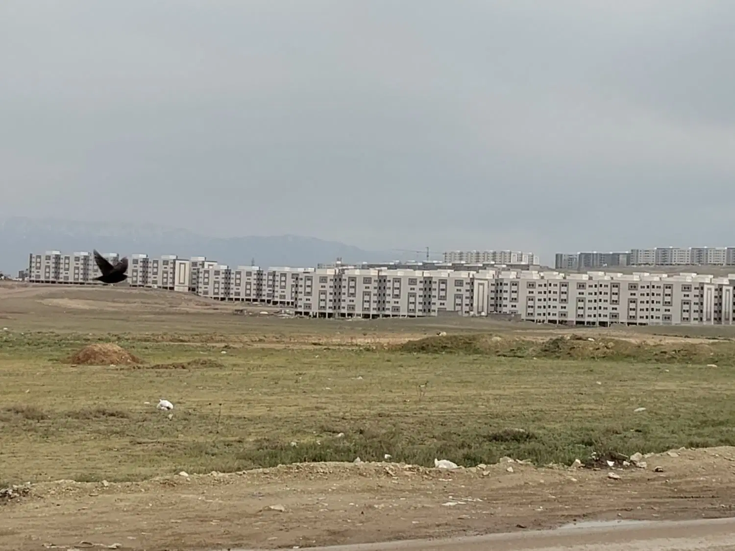 خانه  اردبیل