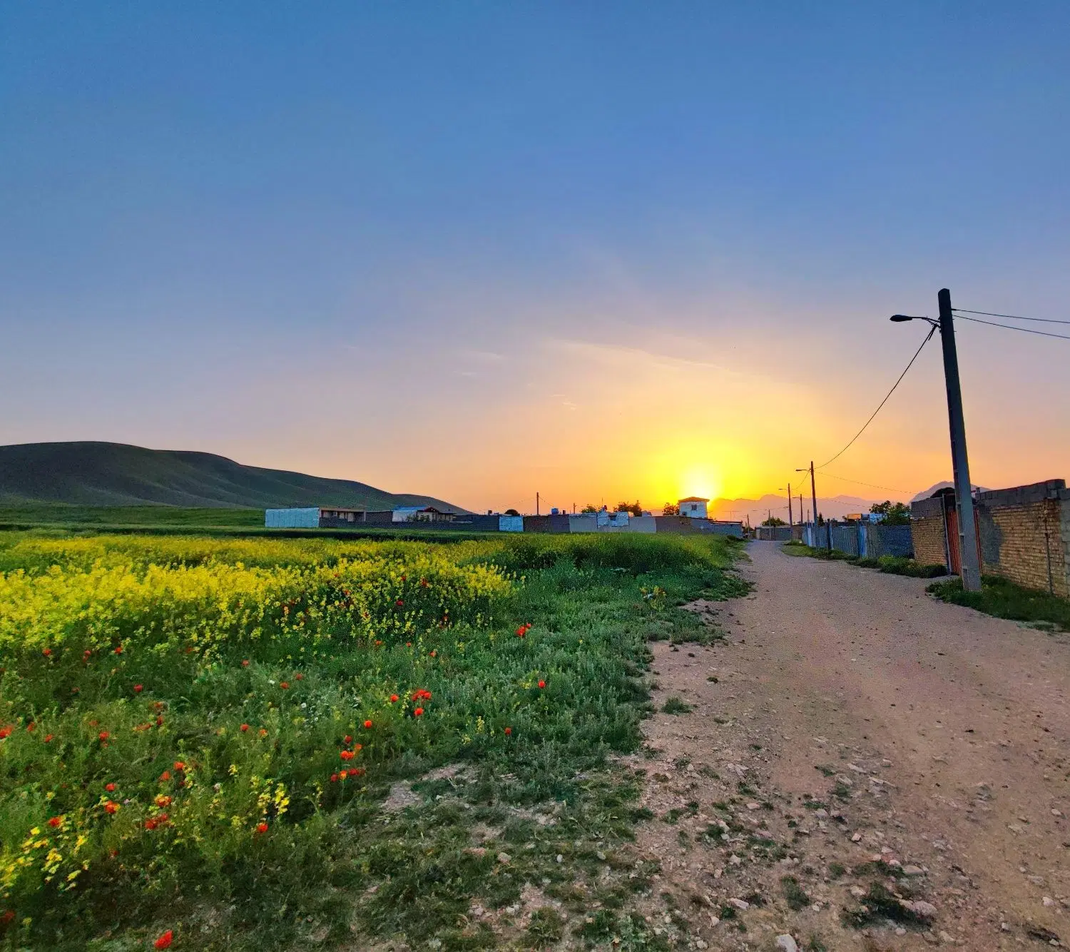 فروش زمین ۳۵۰ متری مسکونی طرح هادی کمالوند سرچاه