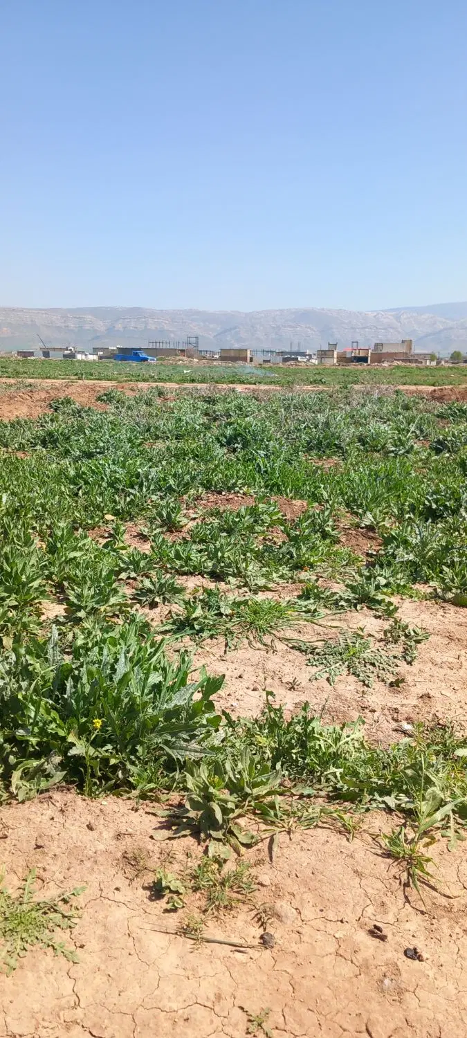 زمین مسکونی