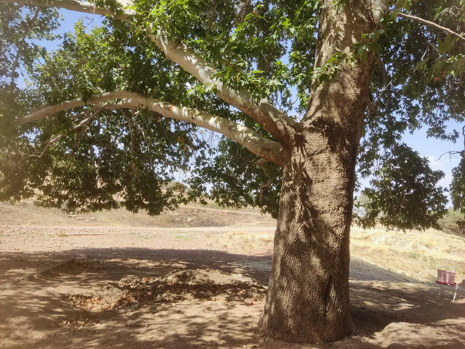 زمین آموزش و پرورش
