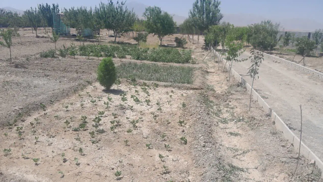 باغ میوه چهاردیواری ۳۰ تمام