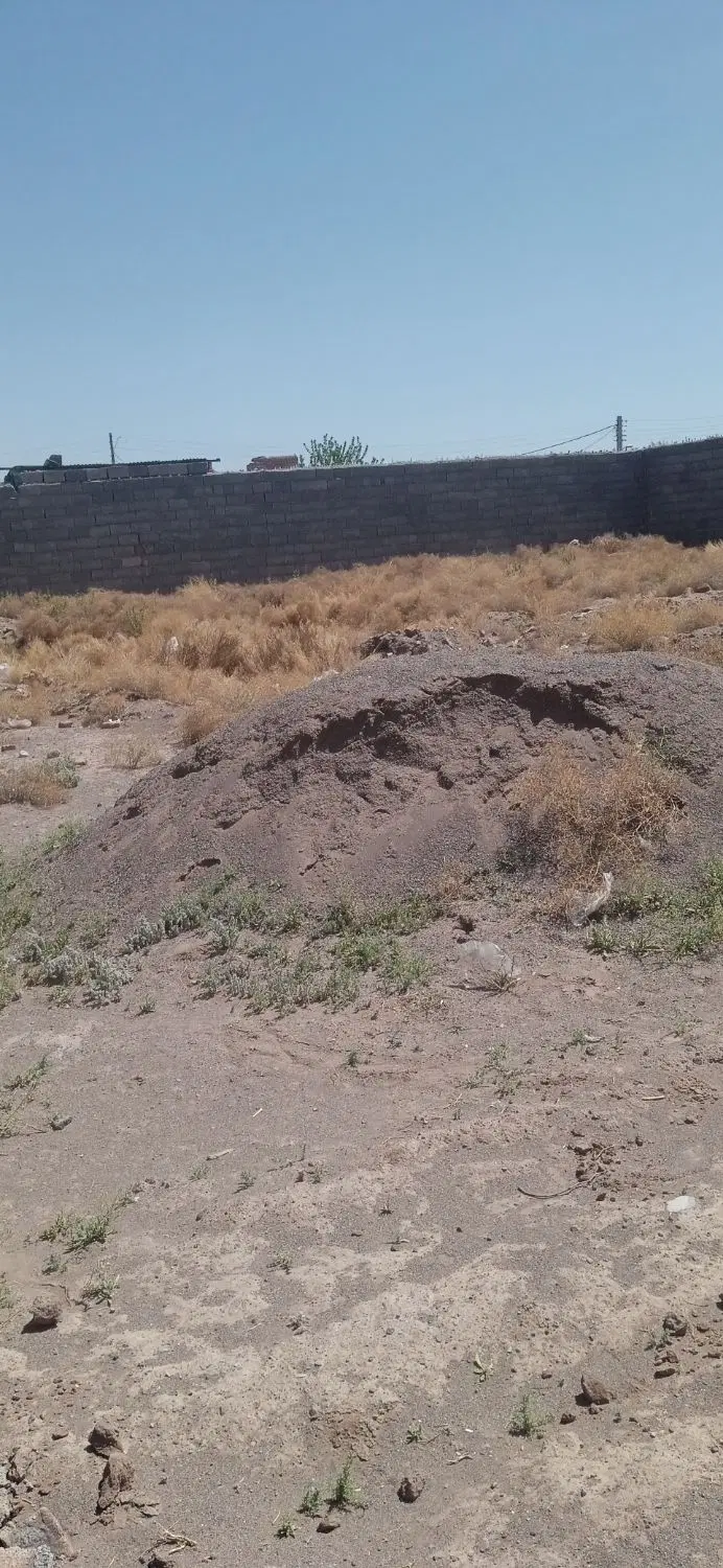 ۱۷قصب زمین مسکونی همت ابادعلیا
