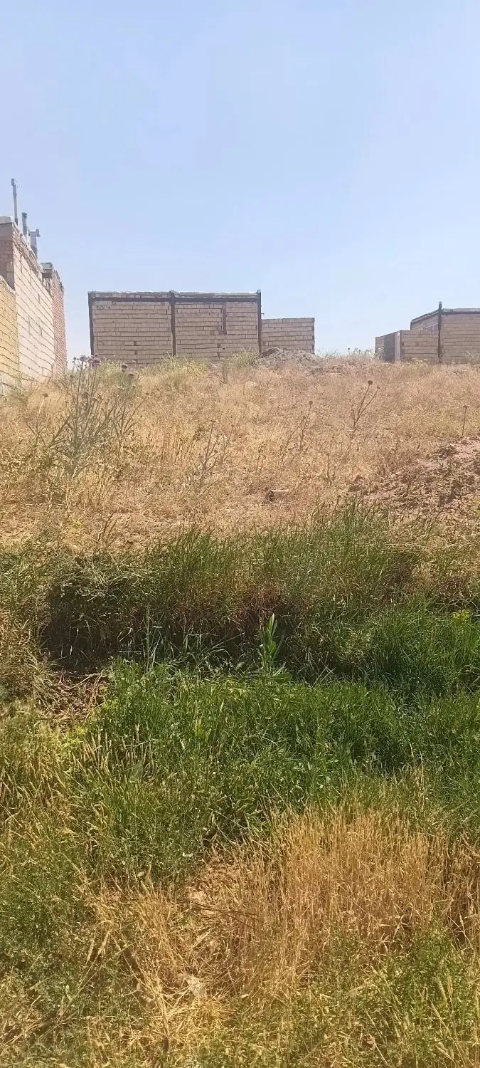زمین کلنگی زمیندر اوغلی