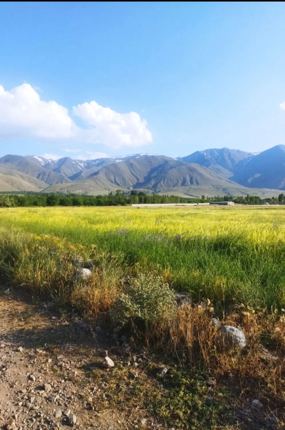 فروش زمین به متراژ ۱۰۰۰ متر