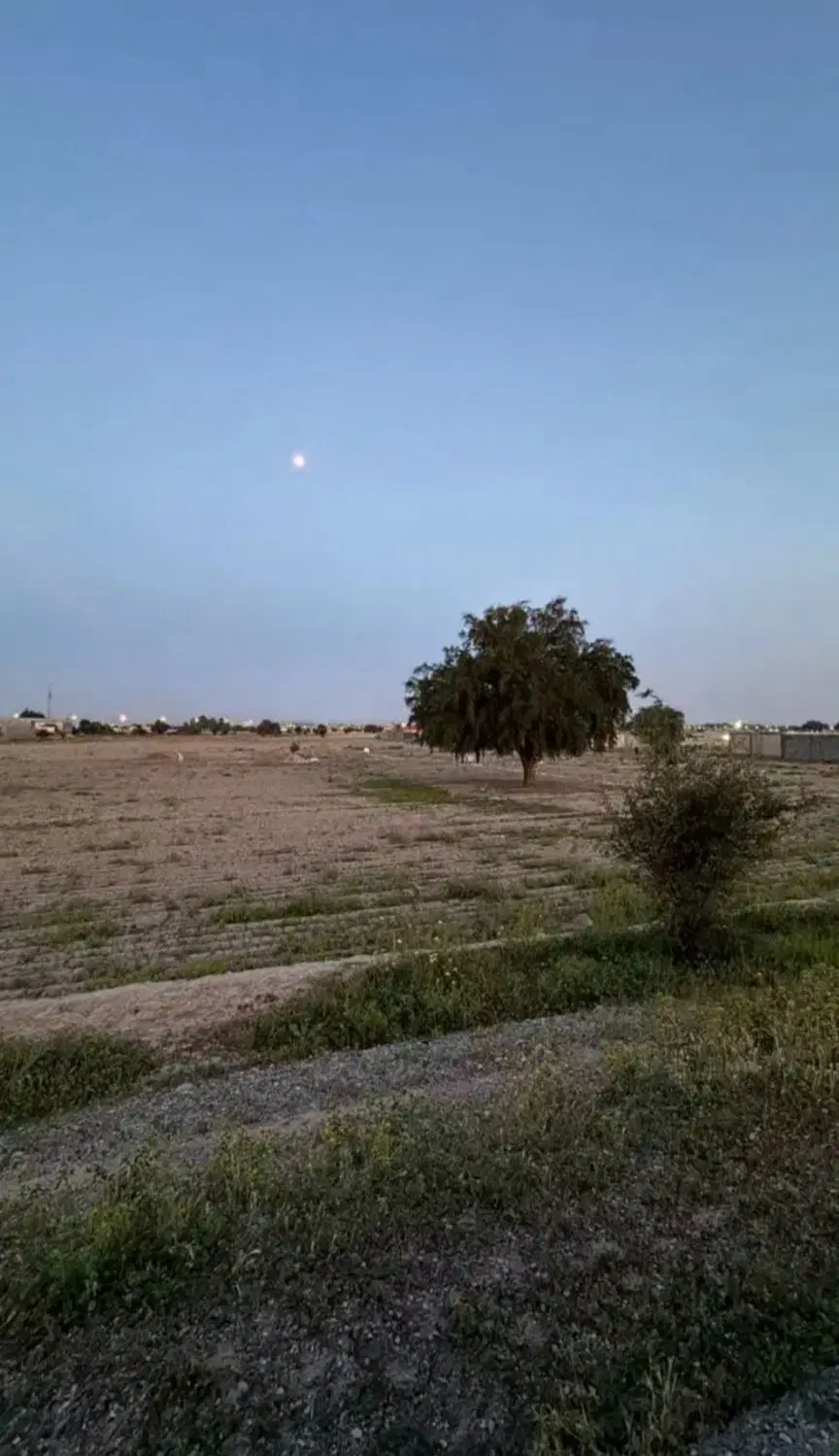 زمین باغ