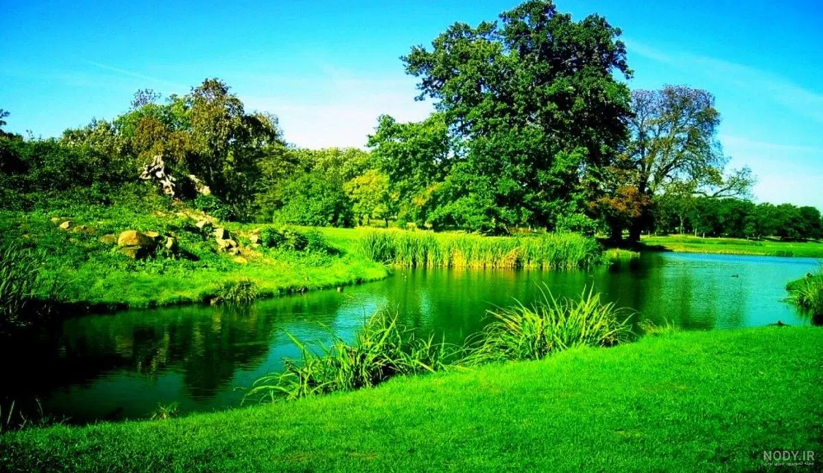 زمین 330 متری