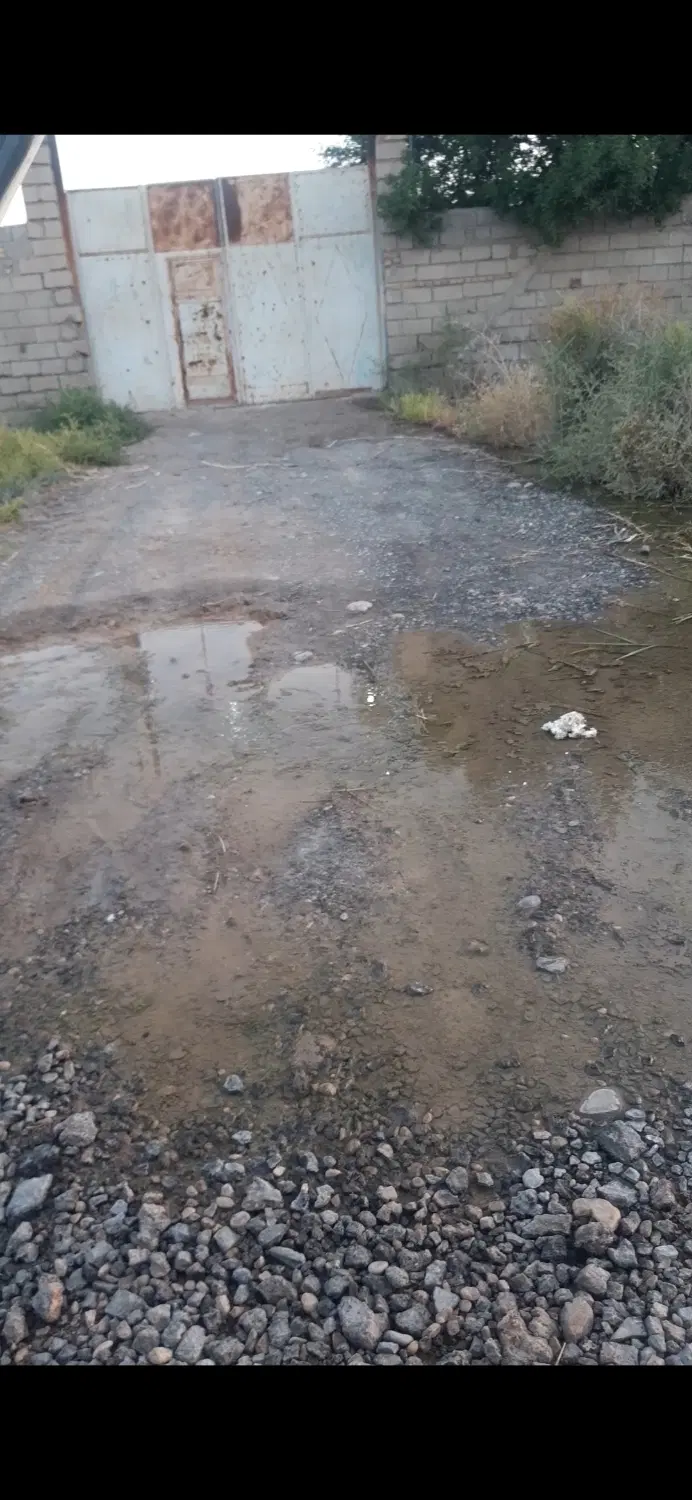 کرایه
