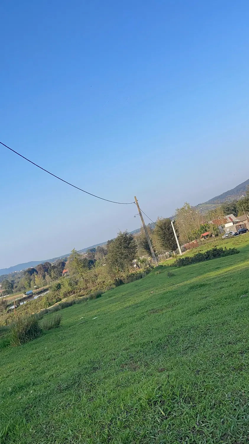 سرمایه گذار جهت اجرا طرح