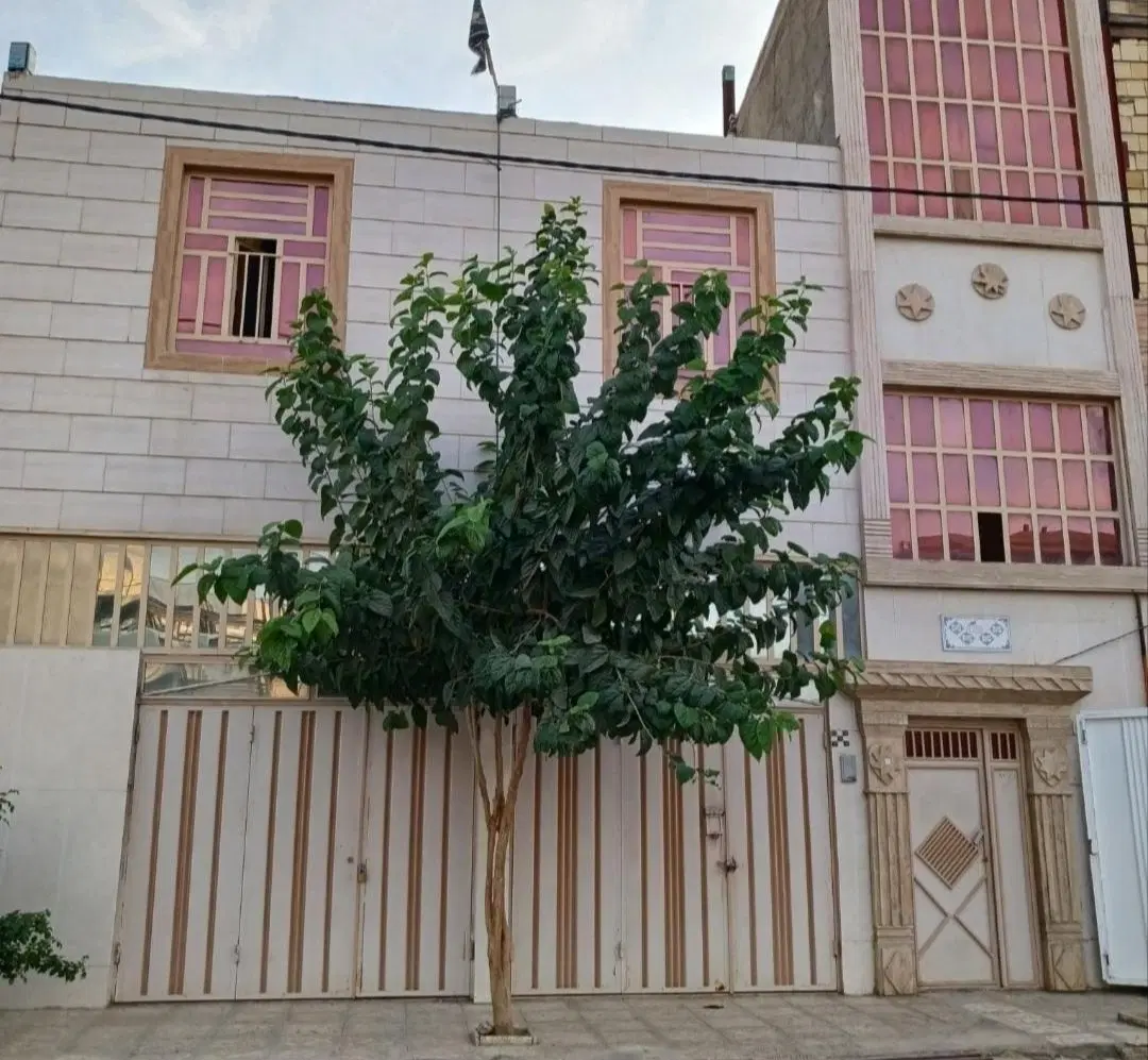 اجاره پیلوت