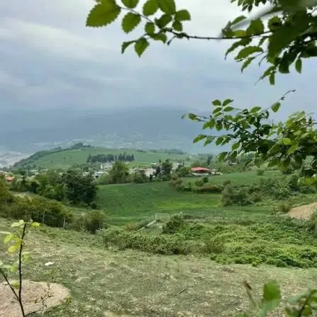 زمین ۴۵۰ متری انشعابات کامل در دل جنگل