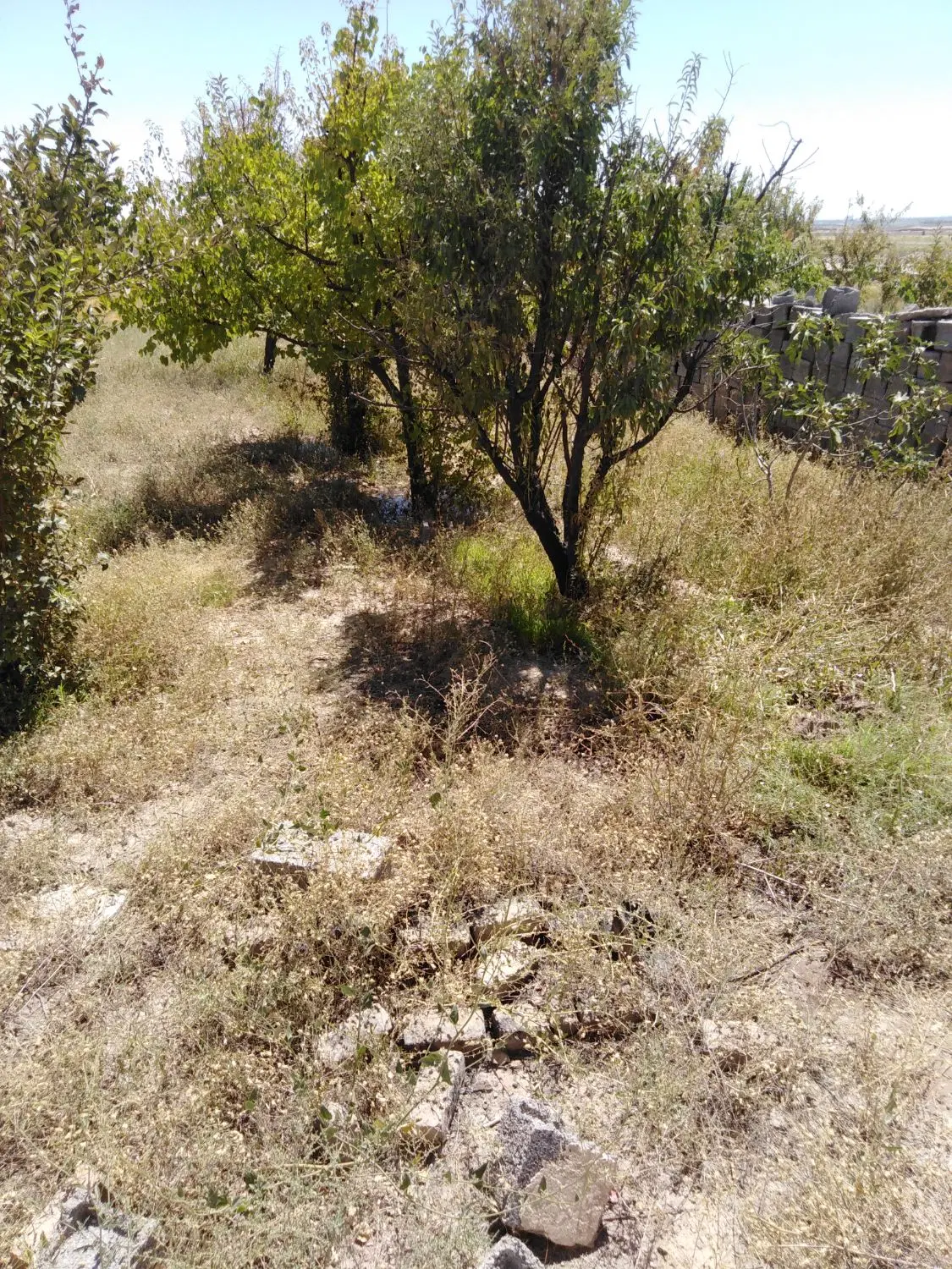 زمین فروشی. شکار