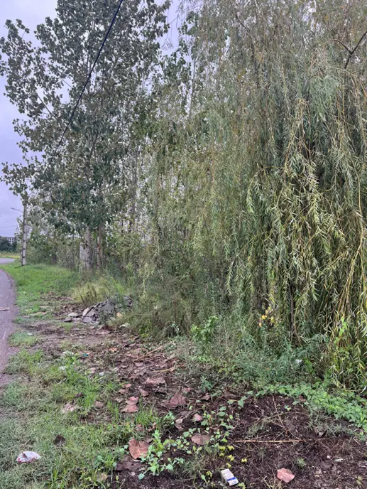 زمین باغی شالکوه 2500 متر