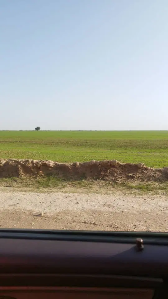 زمین ۱۲۰۰ متری قلعه حیدر و اول جاده گناوه بندر ریگ