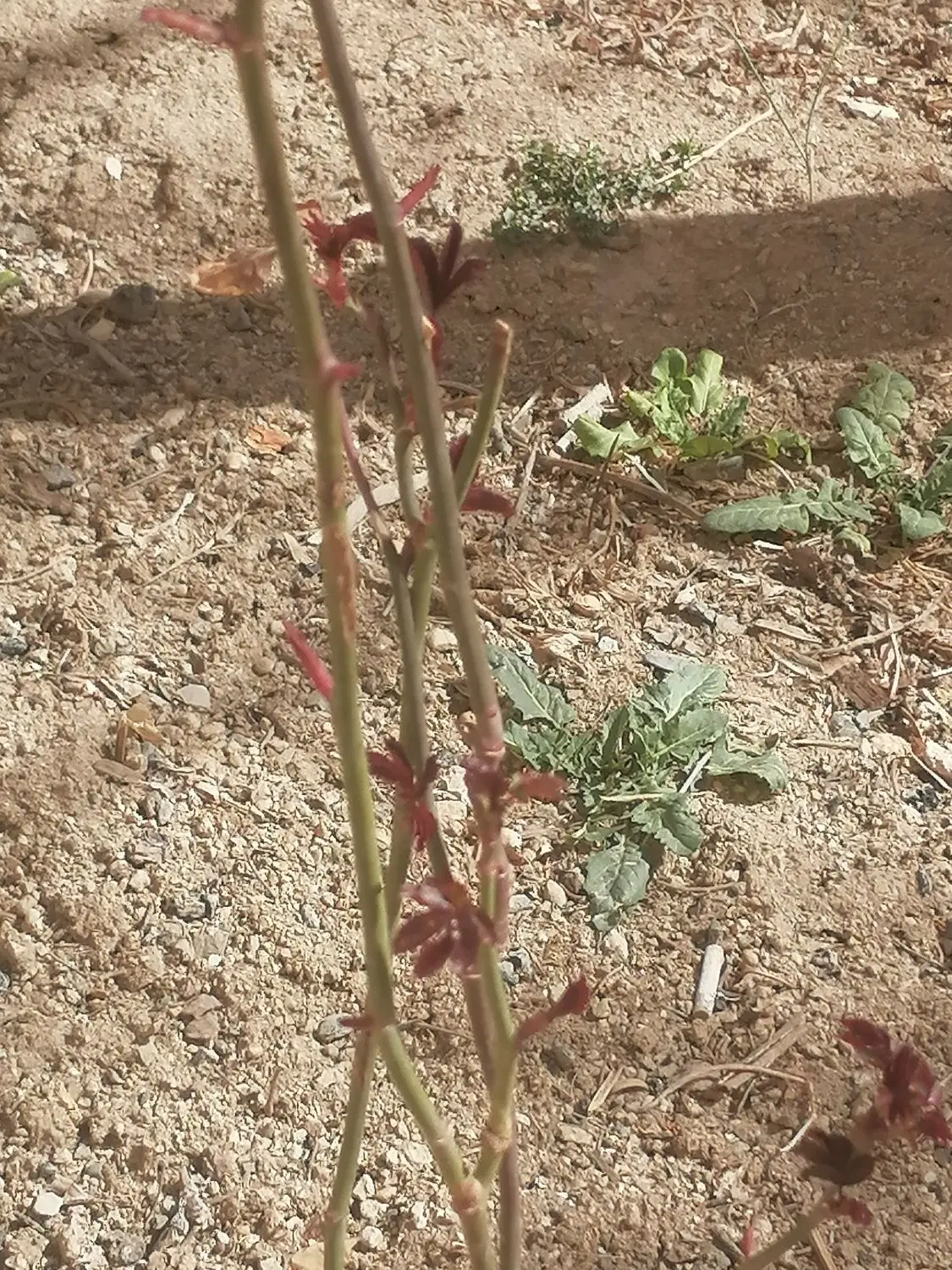 زمین منابع طبیعی