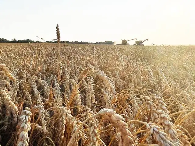 زمین کشاورزی
