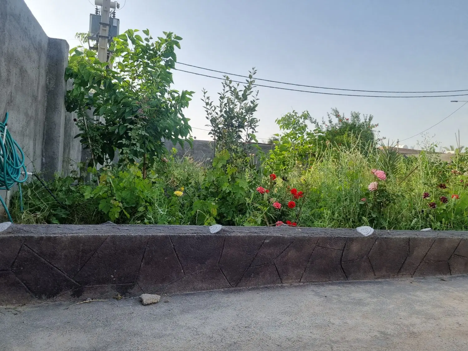 فروش خانه باغ ۸۰۰متری