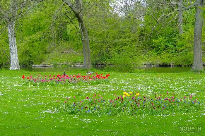 زمین ویلایی سعیداباد(سیداوا)