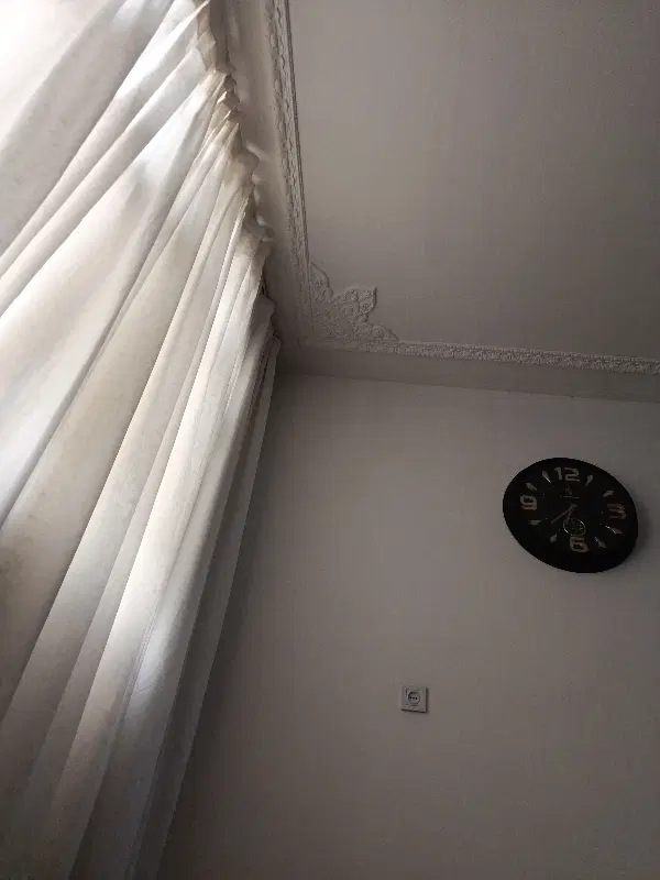 همخانه