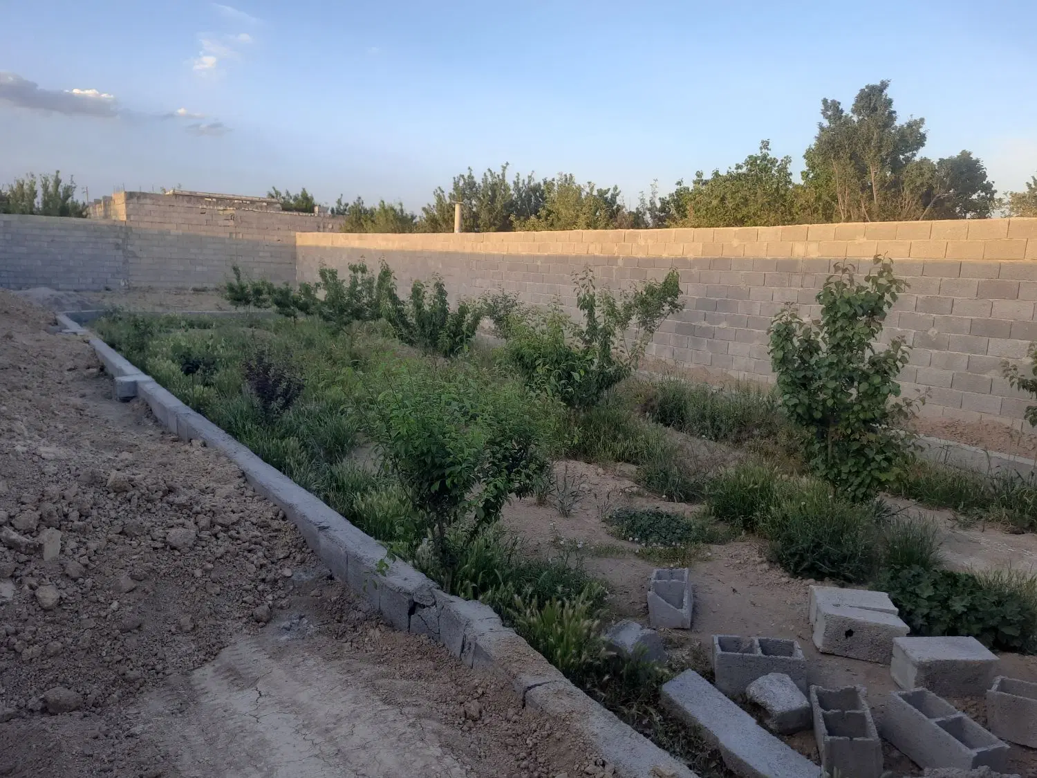 باغ چهاردیواری