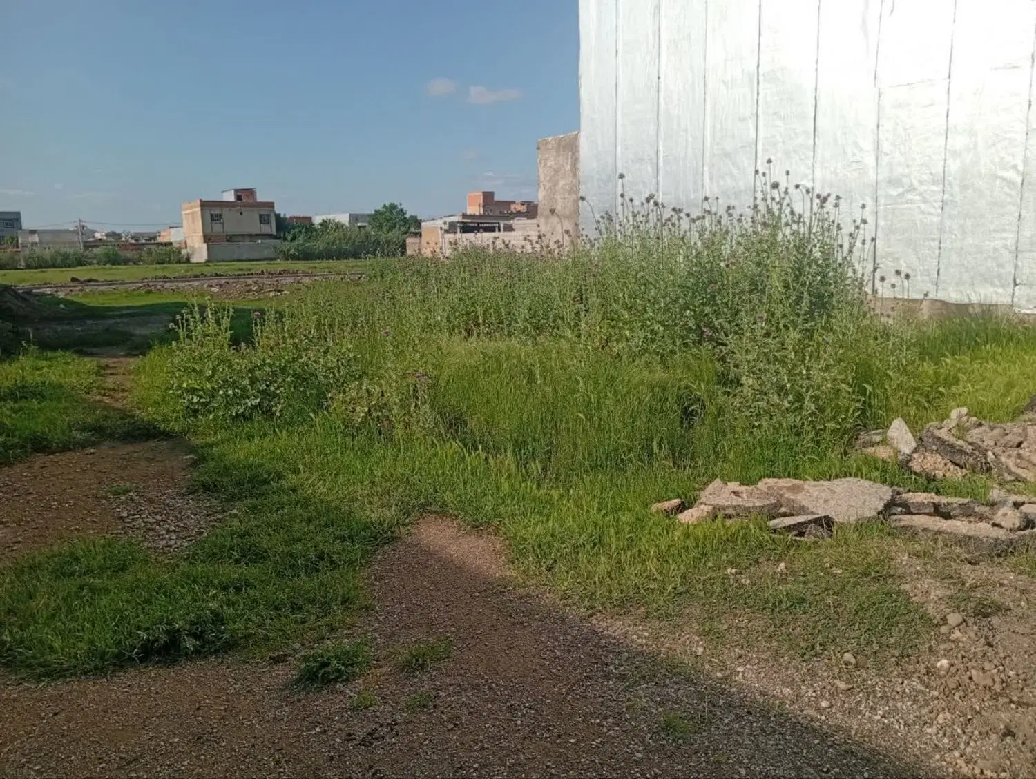زمین مسکونی درکلاله