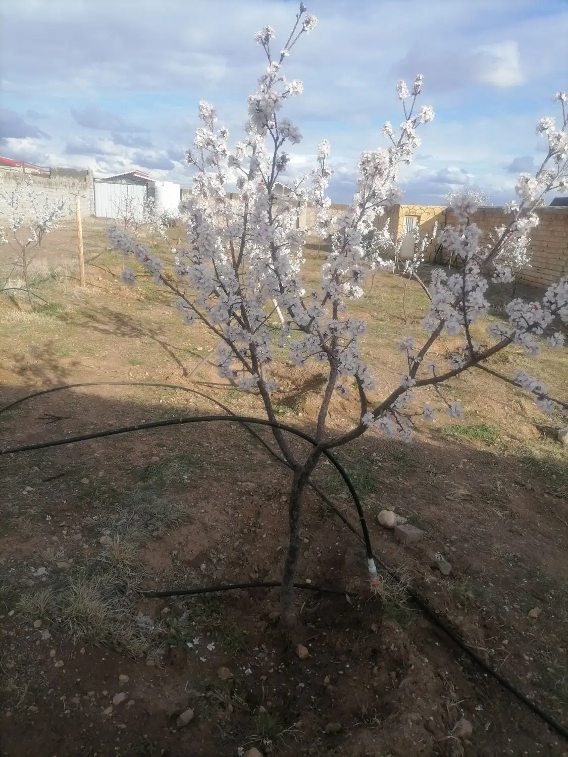خانه باغ نزدیک تبریز  شهرک ویلایی خواجه مرجان