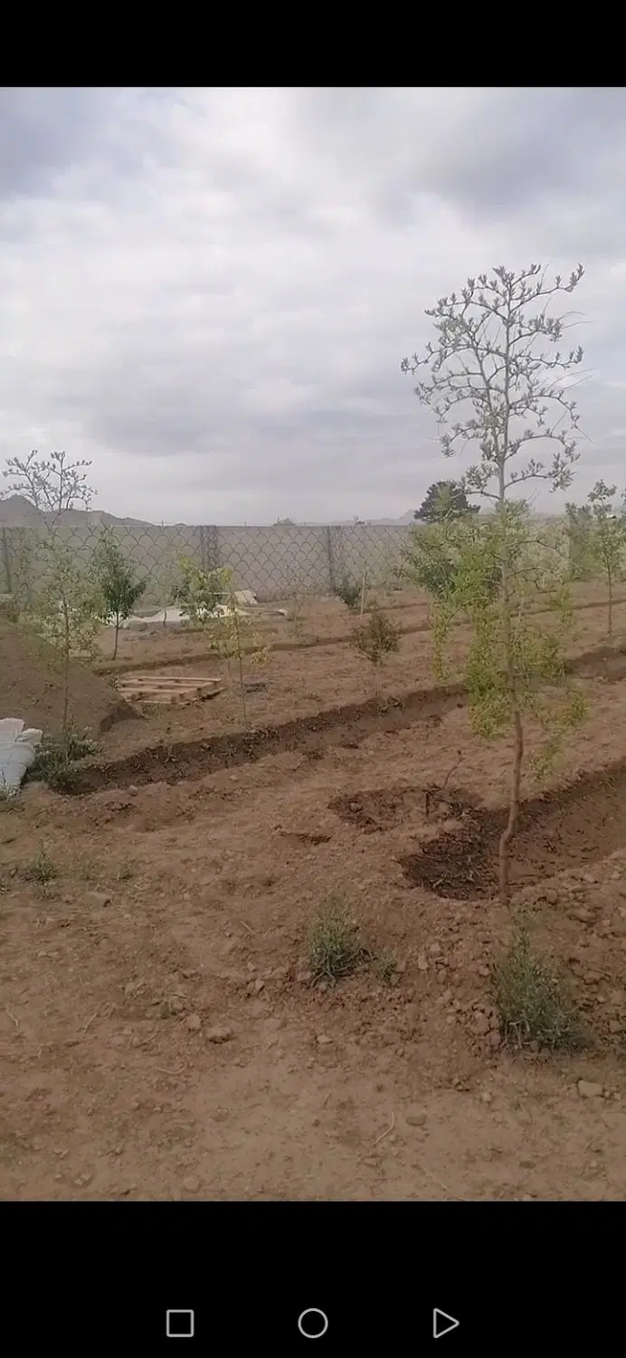 مسکن ملی اعضا