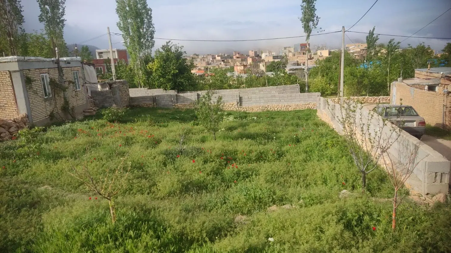 زمین فروشی ارکان