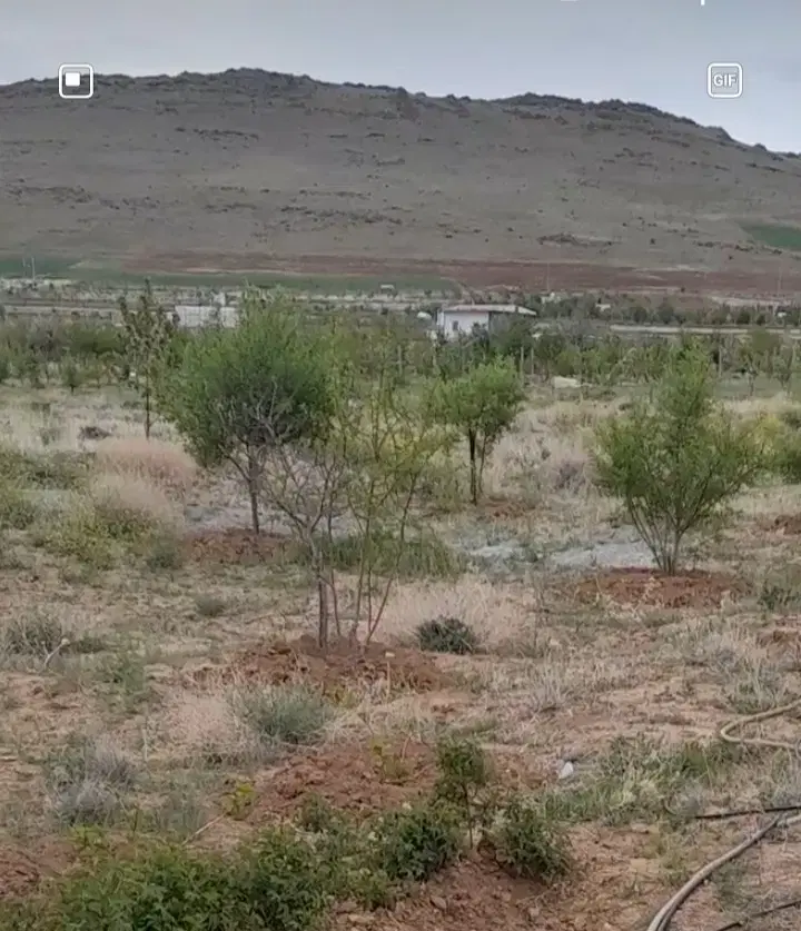باغ روستای چورزق