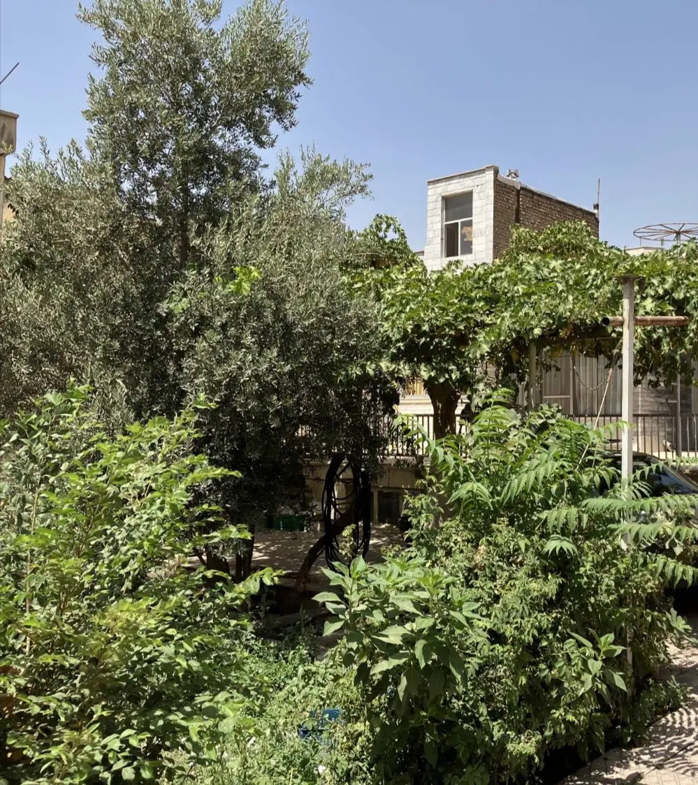 ملک کلنگی درختی