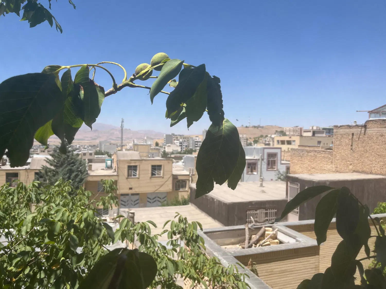اجاره اپارتمان