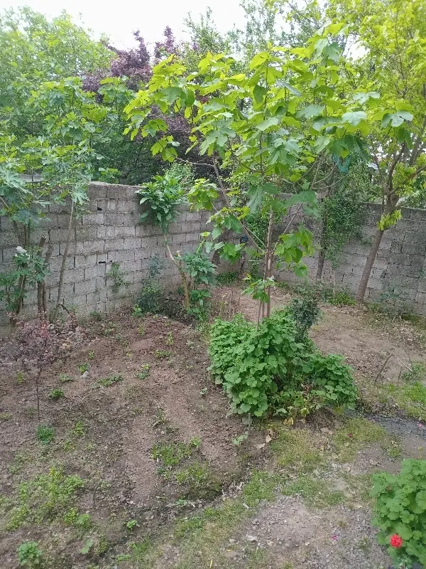 فروش خانه ویلا